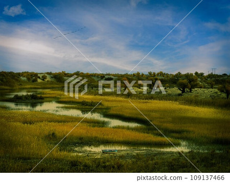 濕地、沙漠、果殼 濕地、沙漠、果殼 109137466