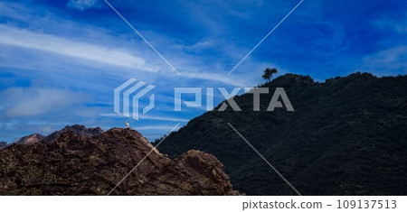 濕地、沙漠、果殼 濕地、沙漠、果殼 109137513