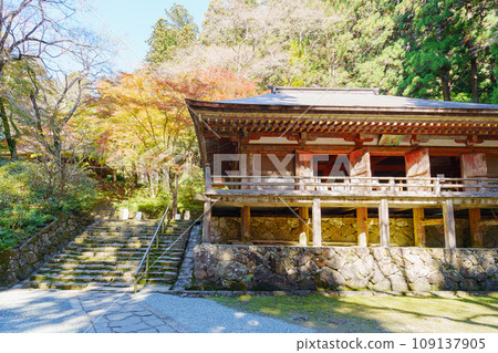 [Nara Prefecture] Muroji Temple, Uda City (Photo taken on November 21, 2023) 109137905