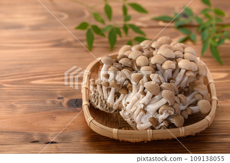 Shimeji (bush-shimeji) wood grain background Shimeji (bush-shimeji) wood grain background 109138055