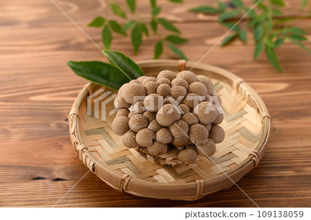 Shimeji (布希-shimeji) 木紋背景 109138059