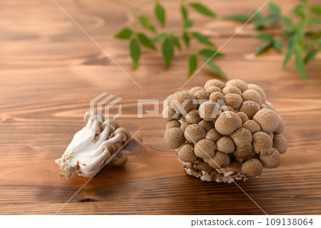 Shimeji (bush-shimeji) wood grain background 109138064