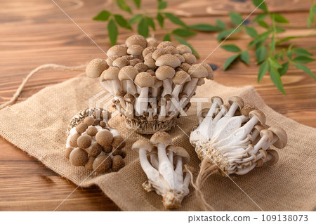 Shimeji (bush-shimeji) wood grain background Shimeji (bush-shimeji) wood grain background 109138073