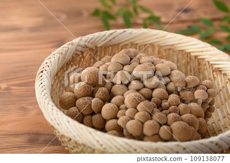 Shimeji (布希-shimeji) 木紋背景 109138077