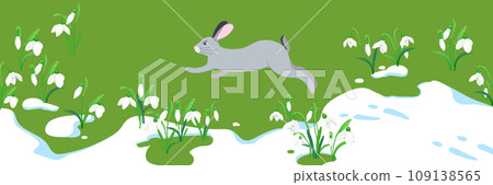 Spring flowers, melting snow and a running hare Spring flowers, melting snow and a running hare 109138565