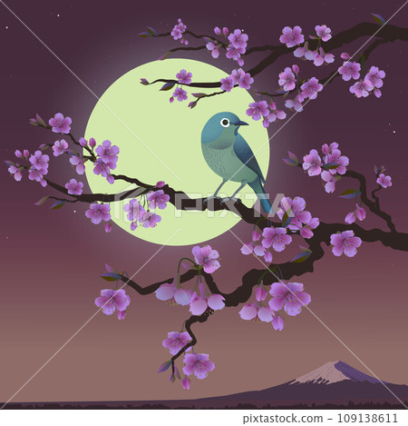 nightingale on a branch on the background of the moon nightingale on a branch on the background of the moon 109138611