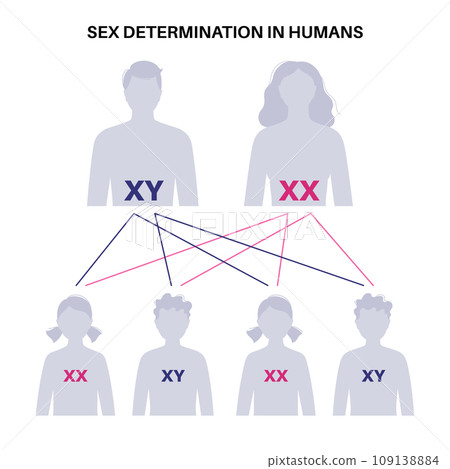 Sex Determination in Humans 109138884