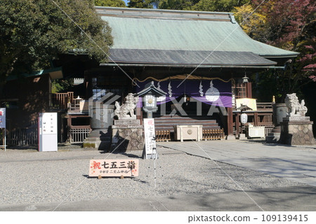 There is one in Nikko, but there is also one in Utsunomiya. Futarasan Shrine. There is one in Nikko, but there is also one in Utsunomiya. Futarasan Shrine. 109139415