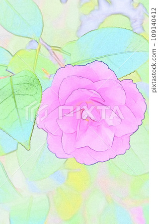 等待春天的季節山茶花綻放圖解1 109140412