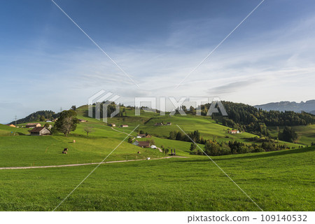 Hilly landscape in the Swiss Alps, Canton Appenzell Innerrhoden, Switzerland 109140532
