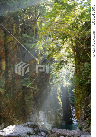 Osugidani Shishibuchi (Mie Prefecture) 109140603