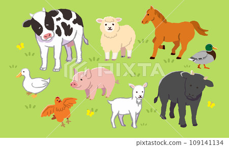 可愛的家養動物在草坪上度過時光的插圖集 109141134