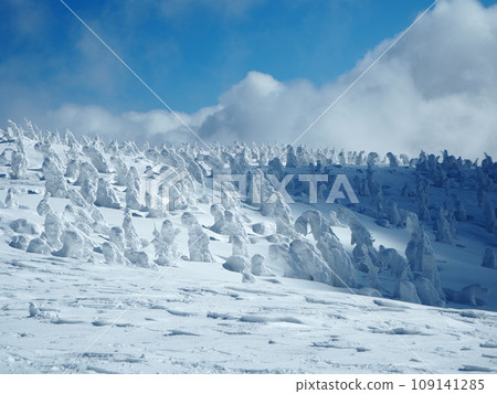 升起的雲朵和霜凍的樹木 109141285