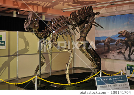 特展室日本神龍全身重建骨架(複製品) 特展室日本神龍全身重建骨架(複製品) 109141704