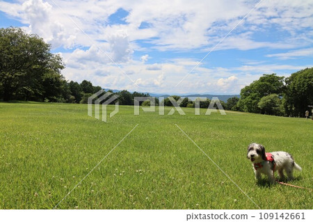 Togariishi Ruins 109142661