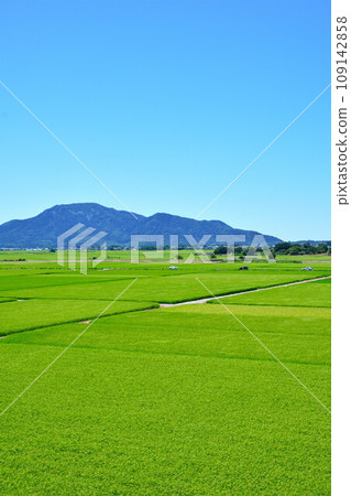 Mt. Yahiko, Mt. Kakuda and rural scenery (Niigata Prefecture) Mt. Yahiko, Mt. Kakuda and rural scenery (Niigata Prefecture) 109142858