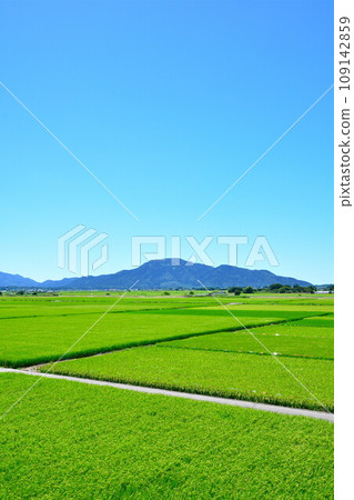 彌彥山、角田山和田園風光（新潟縣） 109142859