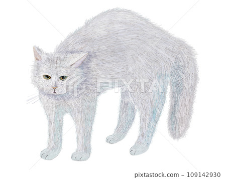 顏卡步白貓 109142930