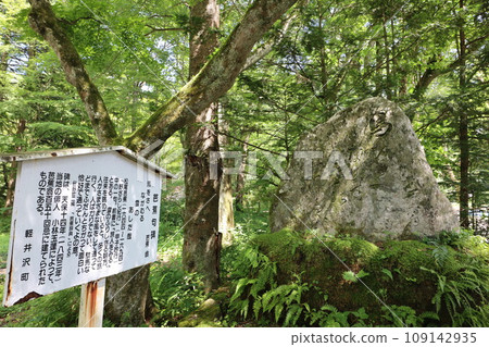 Karuizawa 109142935
