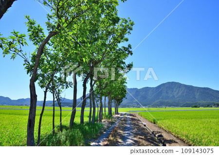 Natsui's Hasaki Summer Landscape (Niigata Prefecture) Natsui's Hasaki Summer Landscape (Niigata Prefecture) 109143075