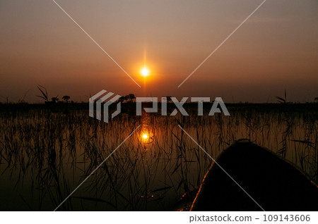 Sunset in the Okavango Delta 109143606