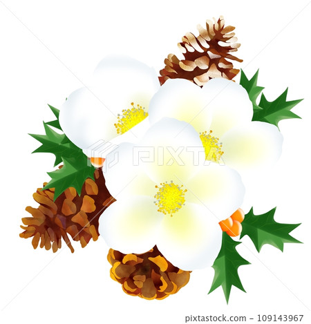 Christmas rose decoration 4 109143967