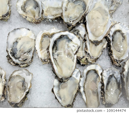 Fresh tasty oysters on crushed ice. View from above Fresh tasty oysters on crushed ice. View from above 109144474
