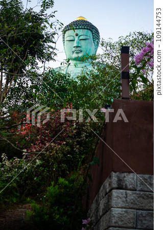 Vertical view of big Seated Buddha Statue in the morning. 109144753