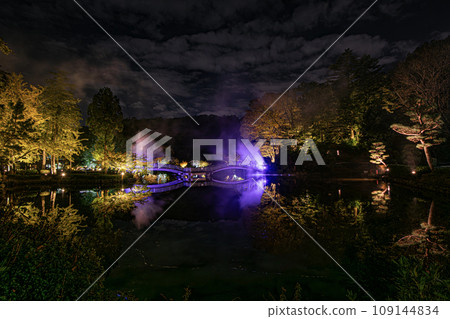 Autumn leaves reflected in Yakushi Pond at night 109144834