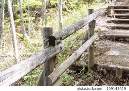 遠足小徑上的木製扶手 109145029