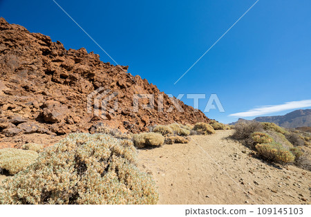landscape of the Teide volcano landscape of the Teide volcano 109145103