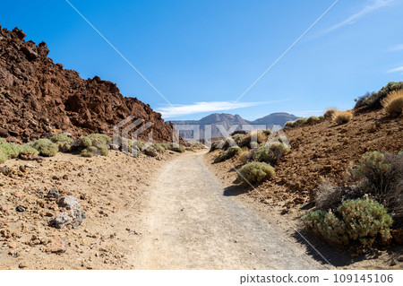 landscape of the Teide volcano 109145106