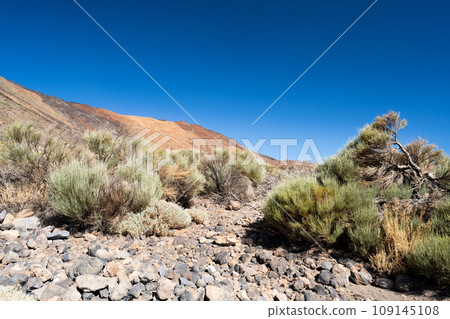 landscape of the Teide volcano landscape of the Teide volcano 109145108