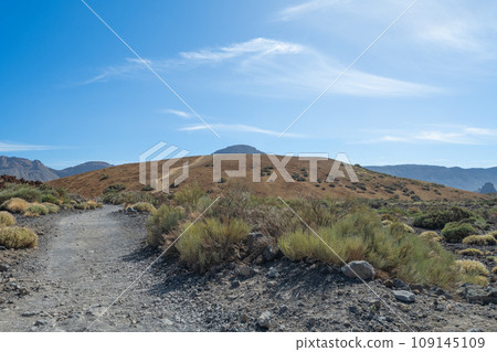 landscape of the Teide volcano landscape of the Teide volcano 109145109