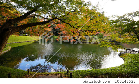 The garden with a pond and the reflection on the water are spectacular The garden with a pond and the reflection on the water are spectacular 109145523