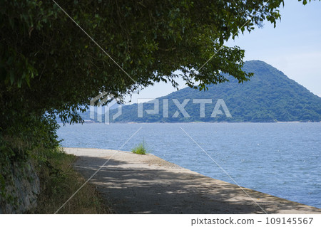 [Hiroshima] Sea of lush leaves 109145567