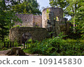 Castle Bolczow in Poland 109145830