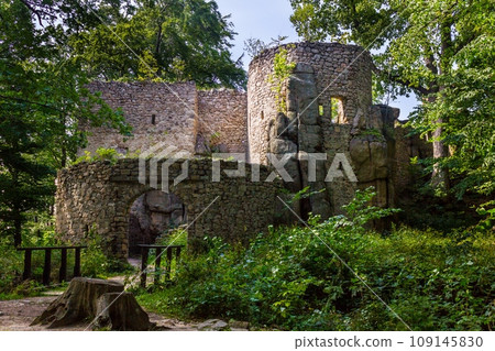 Castle Bolczow in Poland 109145830