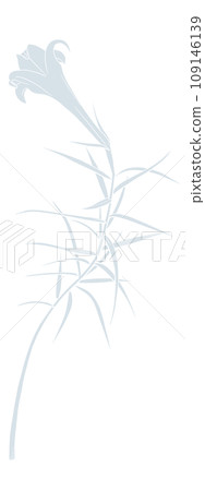 Line drawing illustration of iron lily 109146139