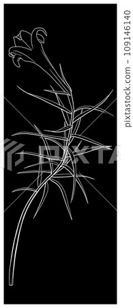 Line drawing illustration of iron lily 109146140