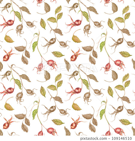 Watercolor seamless pattern rose hip. Seamless pattern on a with background with leaves, eyelids and rose hips. Floral wild illustration for design, fabric, background., paper, etc. Watercolor seamless pattern rose hip. Seamless pattern on a with background with leaves, eyelids and rose hips. Floral wild illustration for design, fabric, background., paper, etc. 109146510