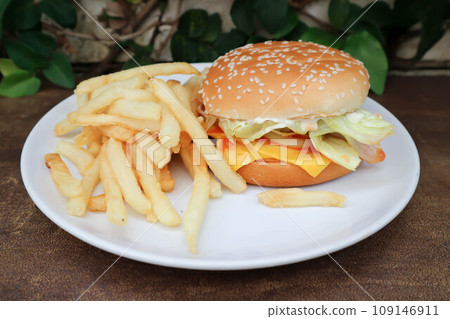 burger or pork burger or hamburger or beef burger , bun and French fries 109146911