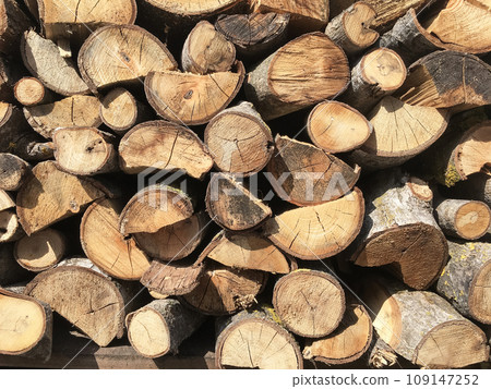 Stack of logs 109147252