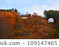 花森公園 - 清裡的秋天 - 109147465