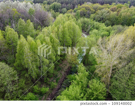 A small river among the trees in spring, aerial view. Forest river. 109148002