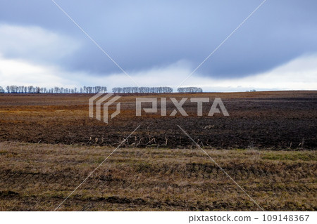 The image shows a vast, barren field with a line of trees in the background under a cloudy sky. The colors are muted, creating a somber mood. The image shows a vast, barren field with a line of trees in the background under a cloudy sky. The colors are muted, creating a somber mood. 109148367