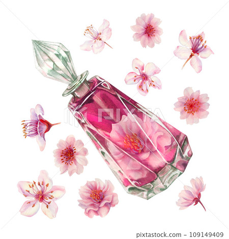 Watercolor pink blooming cherry blossom flowers with glass bottles, perfume, for wedding, birthday, Valentine's Day clipart. Hand drawn drawing for card, border, frame isolated on white background Watercolor pink blooming cherry blossom flowers with glass bottles, perfume, for wedding, birthday, Valentine's Day clipart. Hand drawn drawing for card, border, frame isolated on white background 109149409