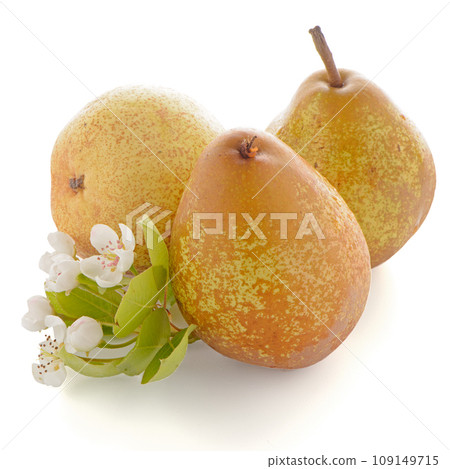 Three ripe pears 109149715