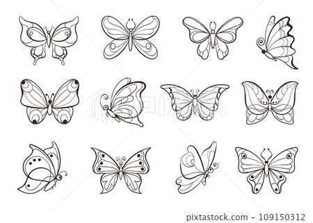 Linear patterned butterflies. Flying insects. Decorative creations. Hand drawn black contours. Simple organic shapes. Tropical bugs. Outline animals. Delicate wings. Splendid vector set 109150312