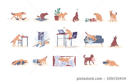 Dog daily life. Bad and good puppy behavior. Young pet destroyed furniture, celebration birthday, using laptop and hold gift. Animal kicky vector scenes 109150434
